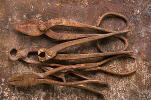 a group of rusty old tools sitting on a wall photo