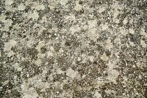 a close up of a granite surface with some black spots photo