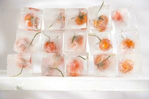 ice cubes with tomatoes on top photo