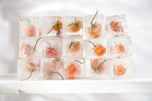 ice cubes with tomatoes on top photo