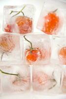 ice cubes with tomatoes on top photo