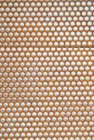 a close up of a metal mesh with holes photo