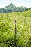 a sign on a rock photo