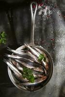 fresh sardines in a black dish with herbs photo