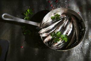 Fresco sardinas en un negro plato con hierbas foto