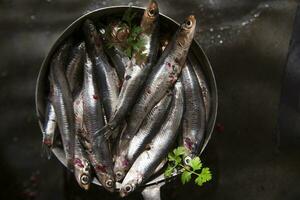 fresh sardines in a black dish with herbs photo