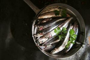 fresh sardines in a black dish with herbs photo