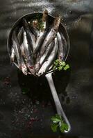 fresh sardines in a black dish with herbs photo