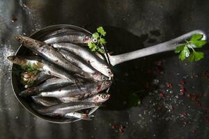 Fresco sardinas en un negro plato con hierbas foto