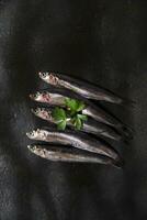 fresh sardines in a black dish with herbs photo