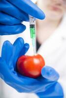 a person in blue gloves holding a tomato with a syringe photo