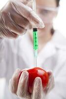 a person in blue gloves holding a tomato with a syringe photo