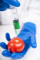 a person in blue gloves holding a tomato with a syringe photo