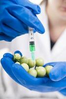 a person in blue gloves holding a tomato with a syringe photo