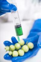 a person in blue gloves holding a tomato with a syringe photo