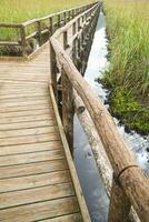 Pedestrian path on wooden poles photo