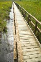 Pedestrian path on wooden poles photo