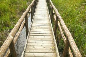 Pedestrian path on wooden poles photo