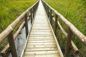 Pedestrian path on wooden poles photo