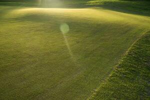 Grass on a golf course photo