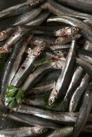 a pile of sardines with parsley on top photo