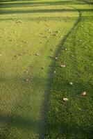 Grass on a golf course photo