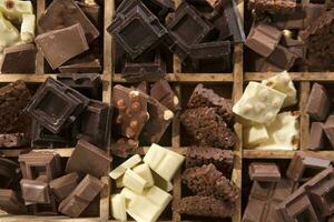 The colors of chocolate photo
