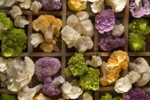 The Colors of cauliflower photo