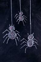 Arachnophobia Fear of Spiders photo