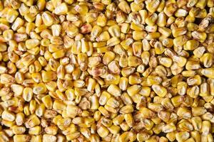 Beans dried corn photo