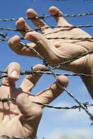 Hands in barbed wire photo
