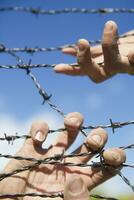 Hands in barbed wire photo