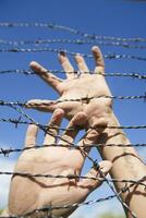 Hands in barbed wire photo