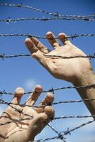 Hands in barbed wire photo