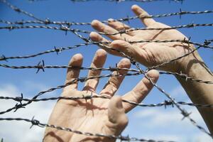 Hands in barbed wire photo