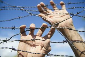 Hands in barbed wire photo