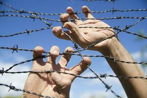 Hands in barbed wire photo