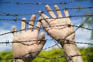 Hands in barbed wire photo