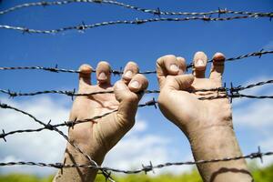 Hands in barbed wire photo