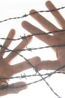 Hands in barbed wire photo