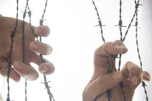 Hands in barbed wire photo