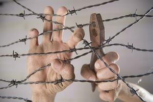 Hands in barbed wire photo