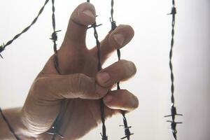 Hands in barbed wire photo
