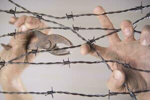 Hands in barbed wire photo