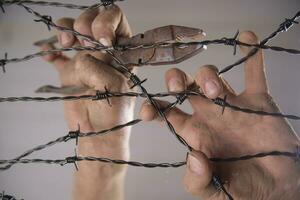 Hands in barbed wire photo