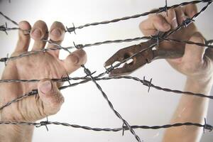 Hands in barbed wire photo