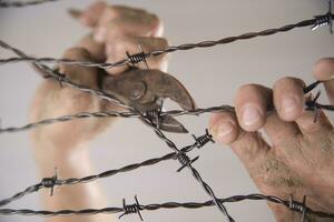 Hands in barbed wire photo