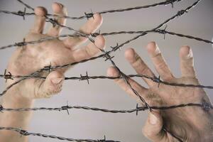 Hands in barbed wire photo