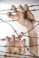 Hands in barbed wire photo