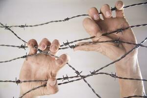 Hands in barbed wire photo